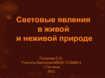 Презентация по естествознанию Световые явления