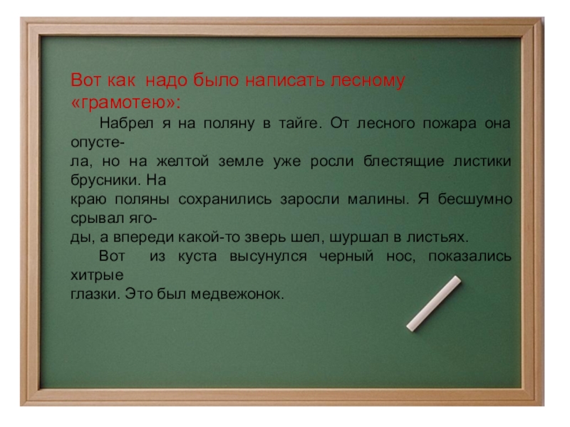 Изложение встреча. Набрёл я на поляну в тайге от лесного пожара. Набрёл я на поляну в тайге от лесного. Диктант набрел я на поляну в тайге. Набрел на поляну в тайге.