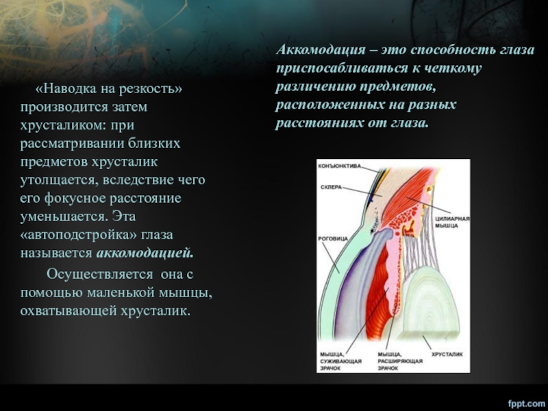 Схема преломления лучей хрусталиком глаза при рассматривании близко и далеко