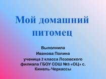 Презентация исследовательской работы Мой домашний питомец