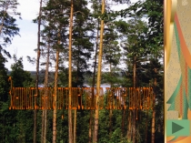 Презентация по экологии Путешествие в лесное царство