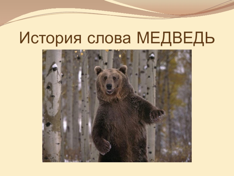 Медведь какой слова признаки
