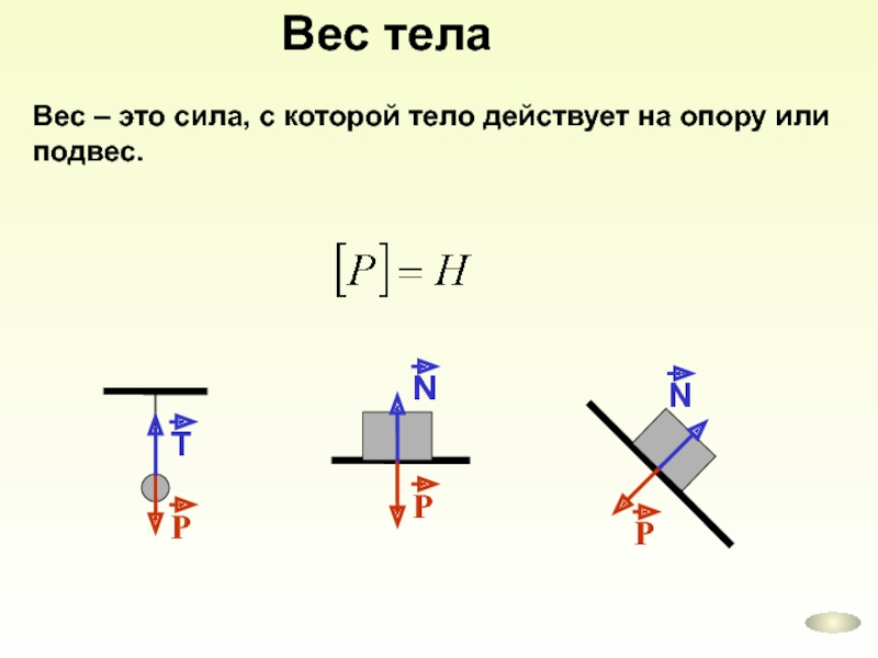 Вес тела рисунок физика