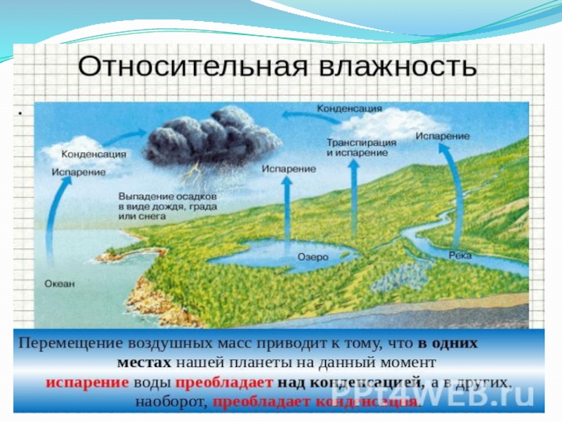 Закономерности испарения. Влажность испарение конденсация. Прибор для измерения испарения воды. Испарение и конденсация влажность воздуха тема. Относительная влажность всех видов осадков.