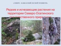 Презентация Редкие и исчезающие растения на территории Северо-Осетинского государственного природного заповедника