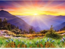 Презентация по биологии на тему Важность охраны живого мира планеты (5 класс)