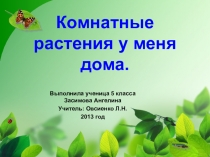 Презентация домашнего проекта 5 класс  комнатные растения
