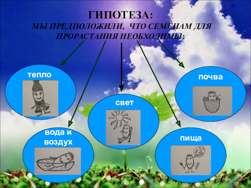 Какие из перечисленных условий необходимы. Гипотеза условия прорастания семян. Условия прорастания семян тепло воздух вода. Почва, свет, тепло, воздух, вода. Свет необходим для прорастания.