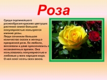 Презентация Дарим людям красоту о цветах