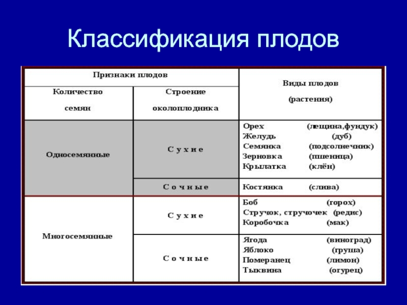 Презентация на тему плоды 6 класс биология