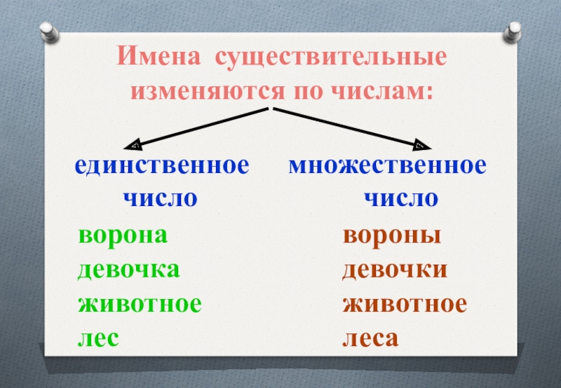 Измени существительные. Имена существительные изменяются. Имя существительное изменяется по. Имя существительное изменяется по числам. Имена существительные изменяются по числам.