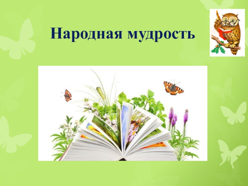 Народная мудрость. Народная мудрость о природе. Народная мудрость рисунок. Народная мудрость картинки. Народная мудрость клипарт.