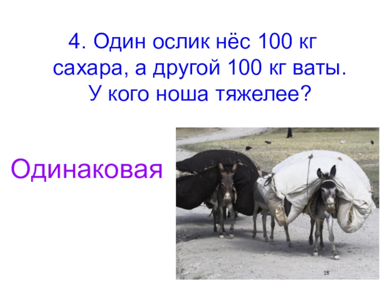 Может нести. Один и осёл. Один ослик нес 10 кг сахара а другой 4 кг ваты у кого груз тяжелее. Тяжелая ноша ослик. Ослик соль.