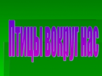 Презентация Птицы вокруг нас