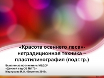 Пластилинография в подготовительной группе детского сада.