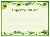 Презентация по окружающему миру Домашние животные