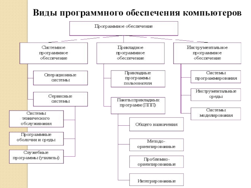 Виды программного обеспечения компьютеров. Отметь виды программного обеспечения. Оперативное обеспечение компьютера таблица с.41.