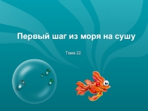 :Первые шаги из моря на сушу