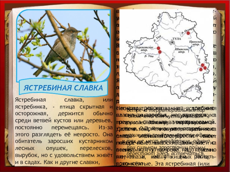 Красная книга тульской области презентация