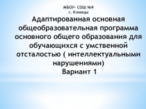 Адаптированная основная общеобразовательная программа основного общего образования для обучающихся с умственной отсталостью ( интеллектуальными нарушениями) Вариант 1