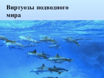 Подводный мир (начальные классы)