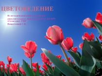 Презентация к занятию Цветоведение