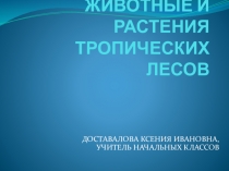 Презентация к уроку окружающего мира по теме Животные тропических лесов