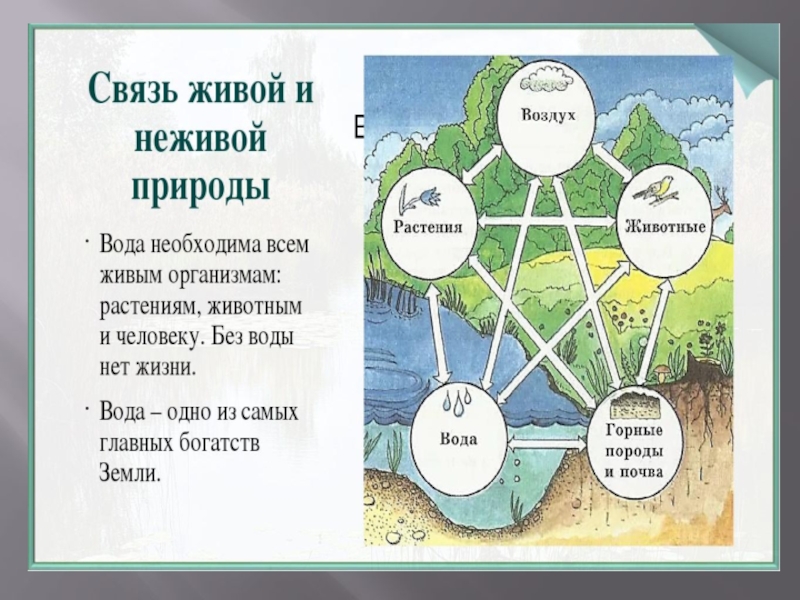 Неживая и живая природа весной презентация окружающий мир 2 класс плешаков