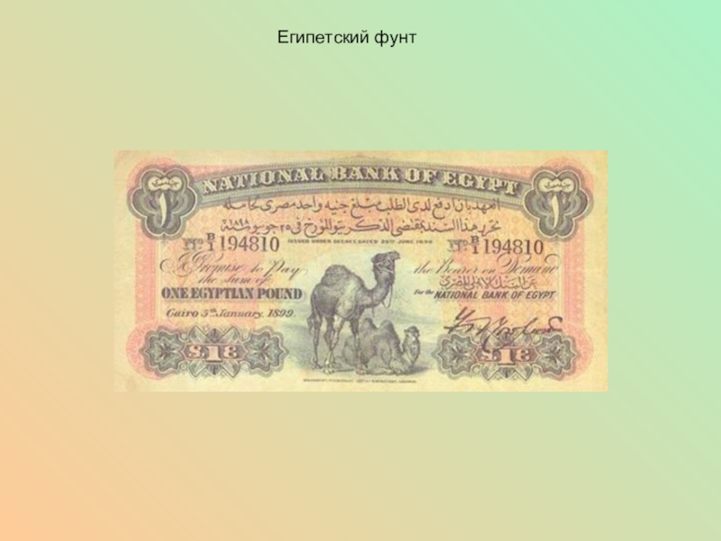 Курс египетского фунта. Египетский фунт презентация. Деньги Северной Африки. Египетские фунты с текстом.