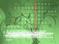 Материал к уроку  Лишайники