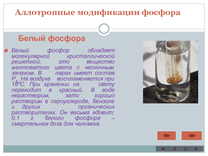 Применение белого фосфора. Растворение фосфора. Урок по теме фосфор. Растворимость белого фосфора. Белый фосфор растворим в воде.