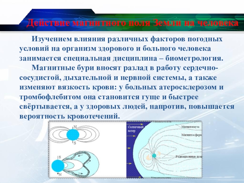 Постоянные магниты магнитное поле земли презентация 8 класс