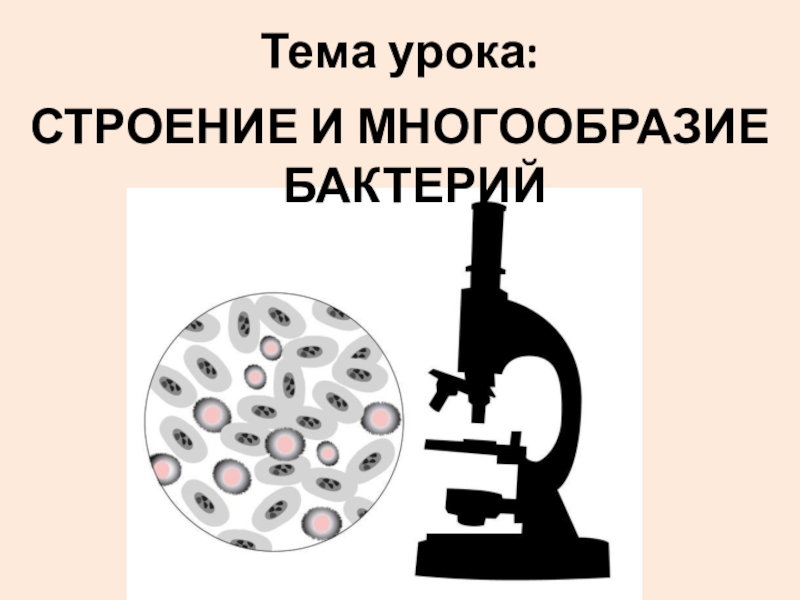 Многообразие бактерий 5 класс презентация