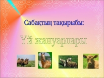 Презентация урока Үй жануарлары