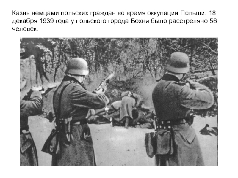 Казнь немцами польских граждан во время оккупации Польши. 18 декабря 1939 года у польского города Бохня было