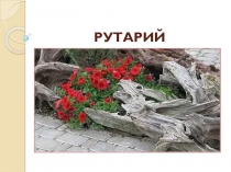 Технология создания рутария, презентация по предмету Основы ландшафтного дизайна