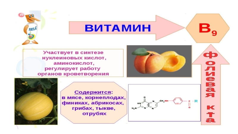 Витамины урок в 8 классе биология презентация