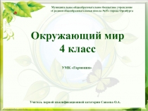 Презентация по окружающему миру Зона лесов (4 класс)