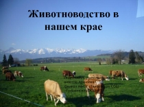 Презентация по окружающему миру для 4 класса Животноводство в нашем крае
