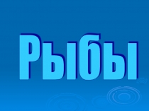 Презентация  Какие бывают рыбы?