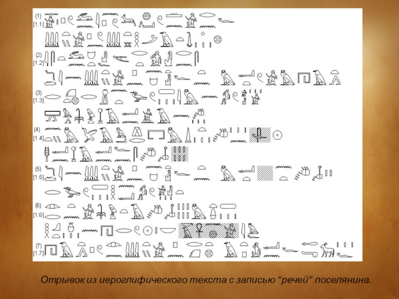 Отрывок из иероглифического текста с записью “речей” поселянина.