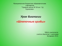 Презентация урока:  Шляпочные грибы.