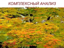Презентация по русскому языку КОМПЛЕКСНЫЙ АНАЛИЗ ТЕКСТА УРОК