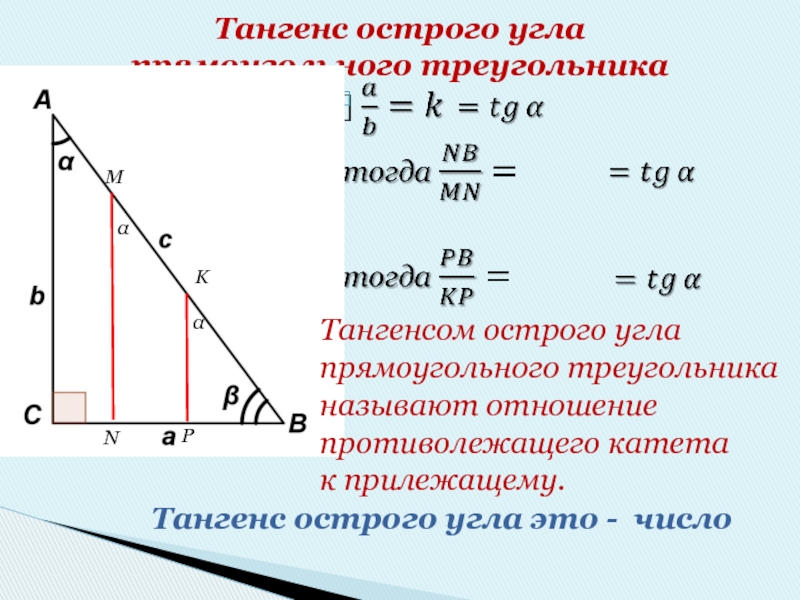 Тангенс острого угла  прямоугольного треугольникаMNKPααТангенсом острого угла прямоугольного треугольника называют отношение противолежащего катета к прилежащему.Тангенс острого