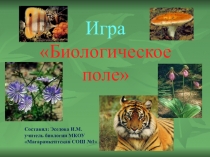 Презентация по биологии Игра Биологическое поле