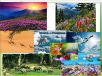 Презентация урока окружающего мира Какие бывают животные (2 класс )