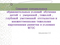 Создание специальных образовательных условий обучения детей с умеренной, тяжелой, глубокой умственной отсталостью и множественными тяжелыми нарушениями развития в условиях ФГОС