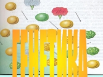 Презентация к занятию по теме: Генетика – наука о закономерностях наследственности и измен-чивости