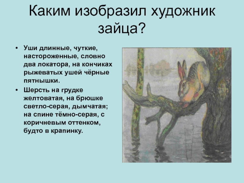 Комаров наводнение сочинение 5 класс по плану