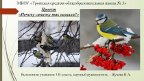 Презентация к экологическому проекту Почему синичку так назвали?,